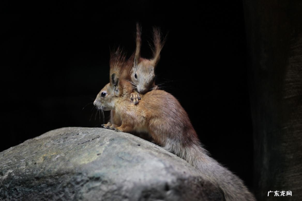 greenhouse greencampuses
