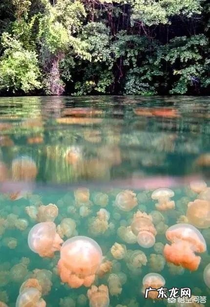 去国外旅行,需要注意什么问题?