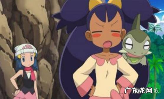 口袋妖怪黑白全图鉴有什么用 口袋妖怪黑白图鉴大全