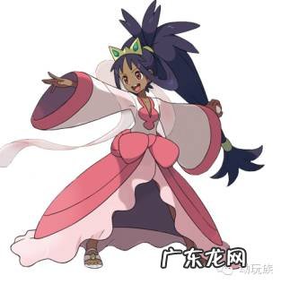 口袋妖怪黑白全图鉴有什么用 口袋妖怪黑白图鉴大全