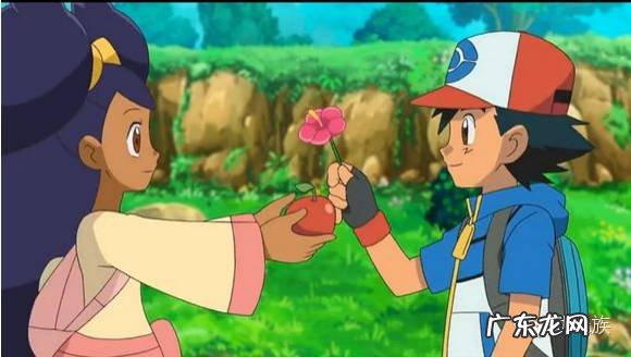 口袋妖怪黑白全图鉴有什么用 口袋妖怪黑白图鉴大全