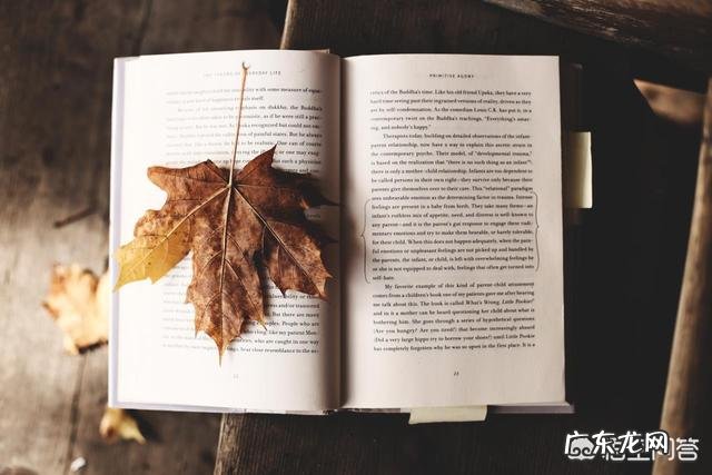 坚持阅读的人都有哪些不一样的收获?