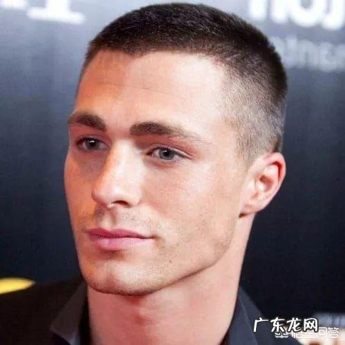 头发发质比较硬,有什么推荐的发型呢?