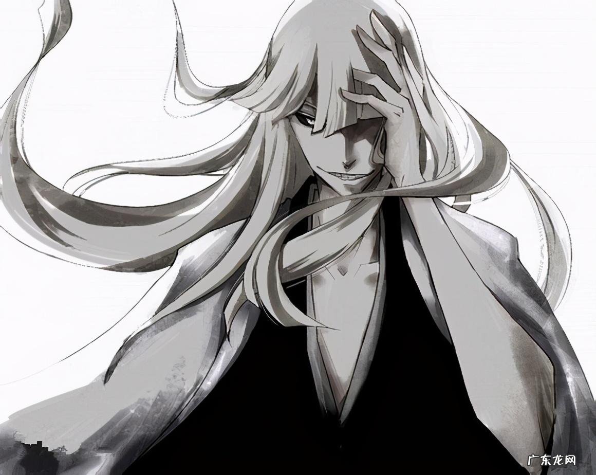 死神vs火影平子真子 死神平子真子是好是坏