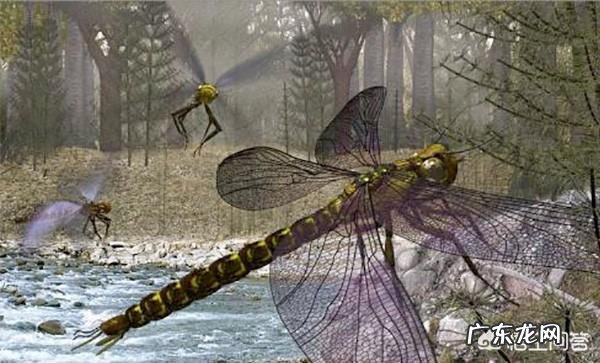 为什么远古时代的动物个体都很大?