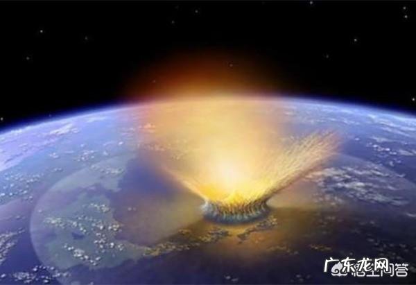 为什么远古时代的动物个体都很大?