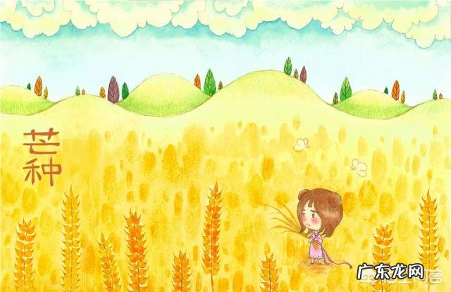 明天是二十四节气之一芒种,这个称呼是怎么来的呢?