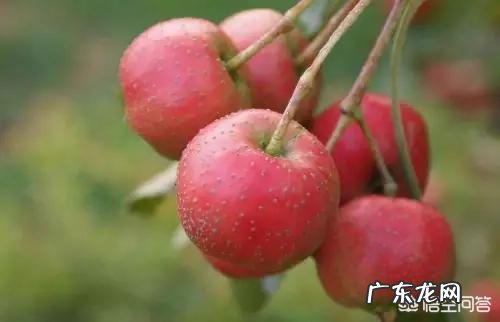 静脉曲张袜该如何选择？