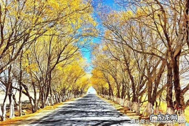 梦到天国的母亲是怎样的感受?