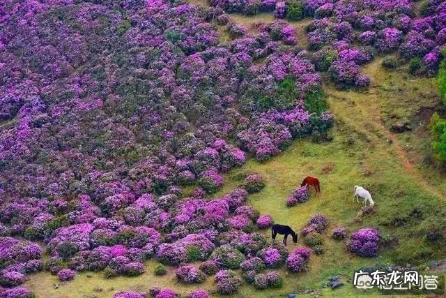五一小长假昆明周边有那些好玩的地方?