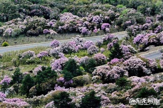 五一小长假昆明周边有那些好玩的地方?