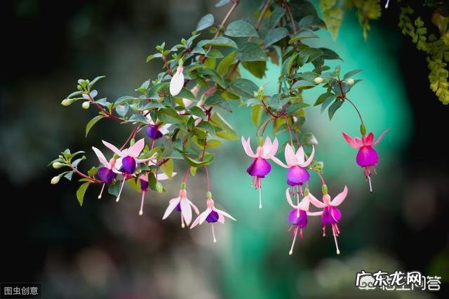 五一小长假昆明周边有那些好玩的地方?