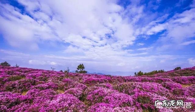 五一小长假昆明周边有那些好玩的地方?