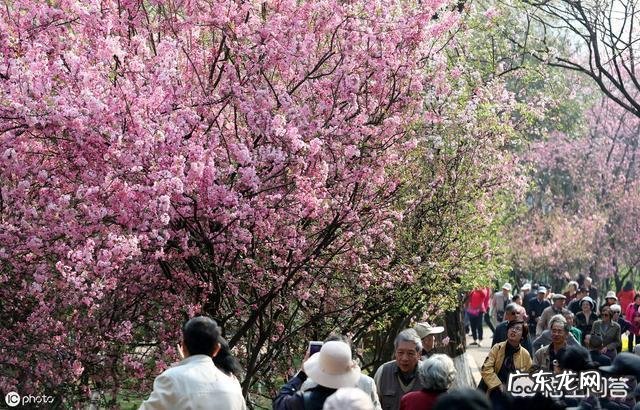 五一小长假昆明周边有那些好玩的地方?