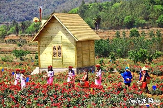 五一小长假昆明周边有那些好玩的地方?