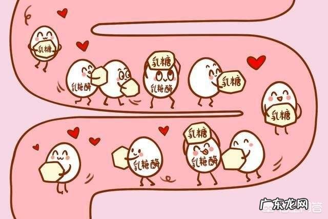 母乳喂养的宝宝乳糖不耐，经常拉肚子红屁股，该怎么护理？