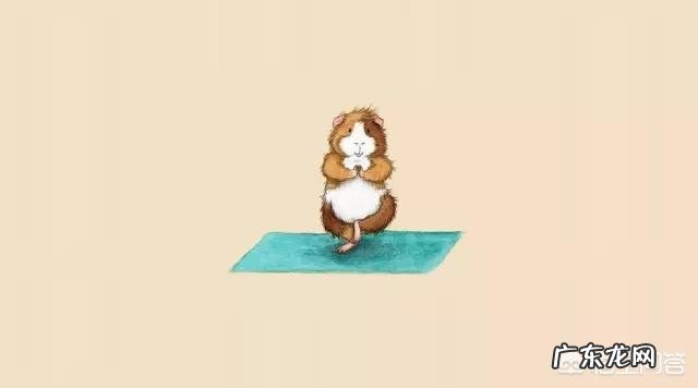 瑜伽初学者会遇到哪些问题?