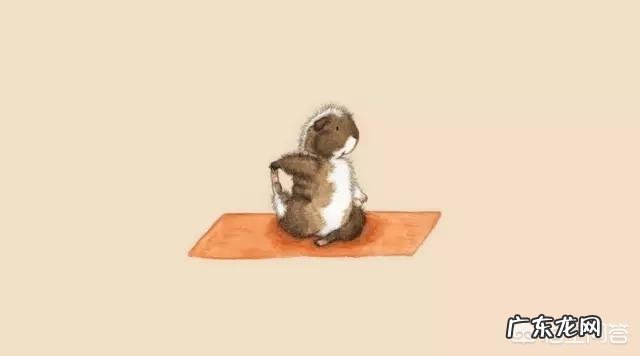 瑜伽初学者会遇到哪些问题?