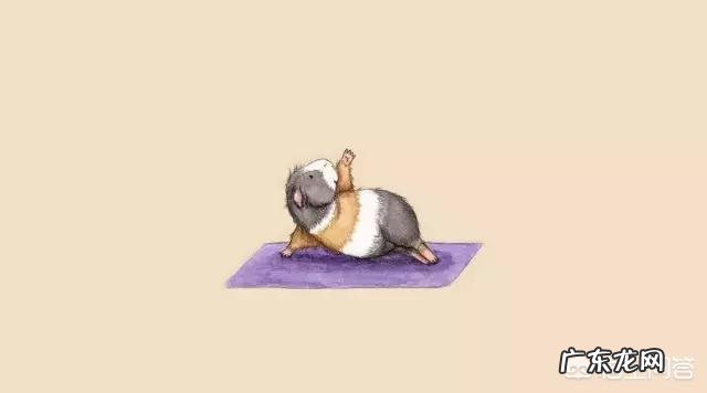 瑜伽初学者会遇到哪些问题?