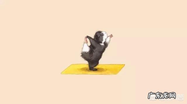 瑜伽初学者会遇到哪些问题?