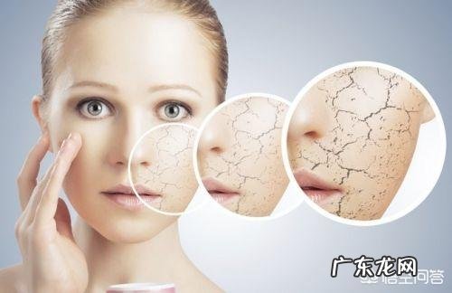 应该怎么做保养?