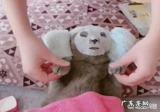 应该怎么做保养?