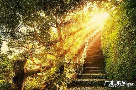 心中负面情绪太多,总爱胡思乱想怎么办?