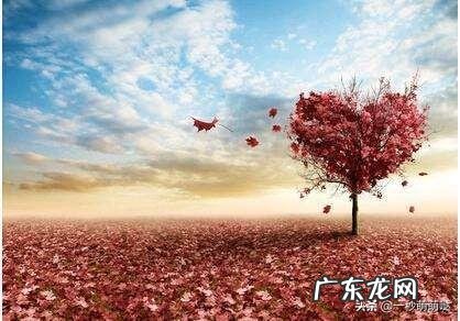 现在中国未婚女性的择偶标准是什么?