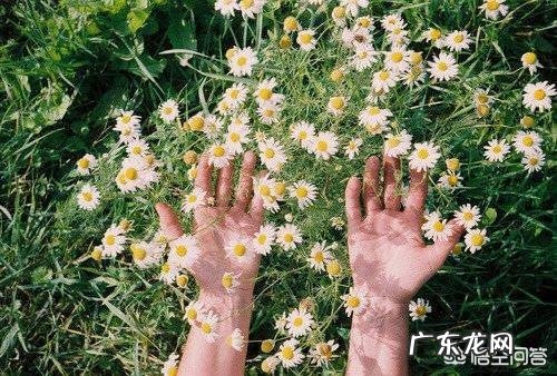 什么是美文,如何提高自己的美文品质?