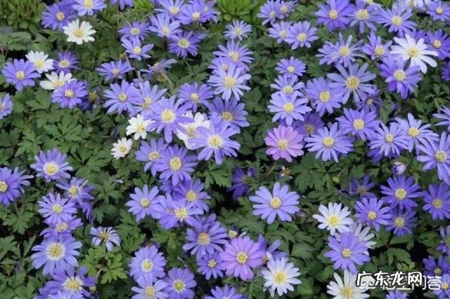 什么是美文,如何提高自己的美文品质?