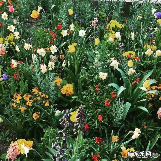 什么是美文,如何提高自己的美文品质?