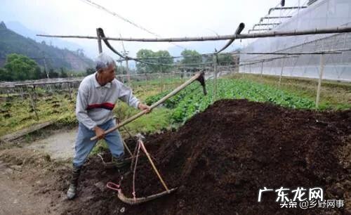 牛粪有哪些用途?牛粪如何处理能利润最大化?