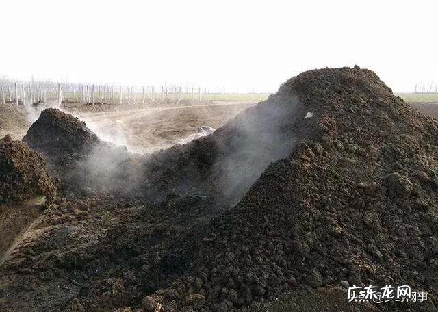 牛粪有哪些用途?牛粪如何处理能利润最大化?