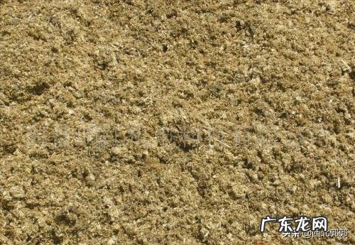 牛粪有哪些用途?牛粪如何处理能利润最大化?