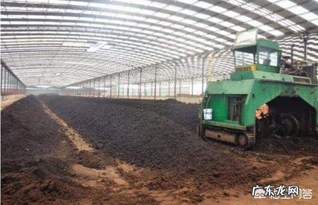 牛粪有哪些用途?牛粪如何处理能利润最大化?