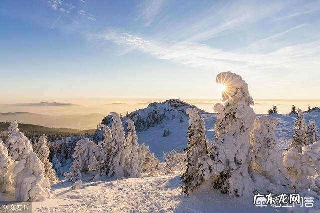 有哪些有韵味内涵的句子?