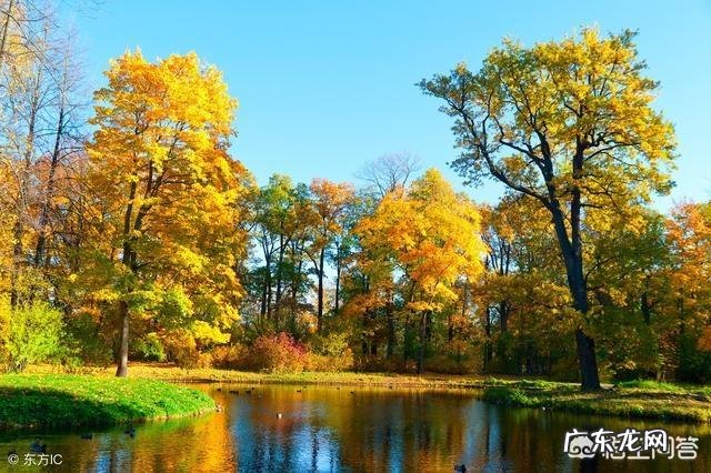 有哪些有韵味内涵的句子?