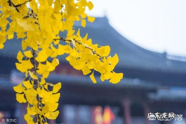 有哪些有韵味内涵的句子？