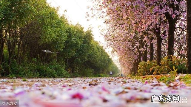 有哪些有韵味内涵的句子?