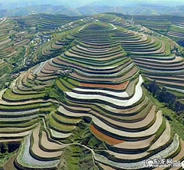 正月初五为什么叫“破五”?