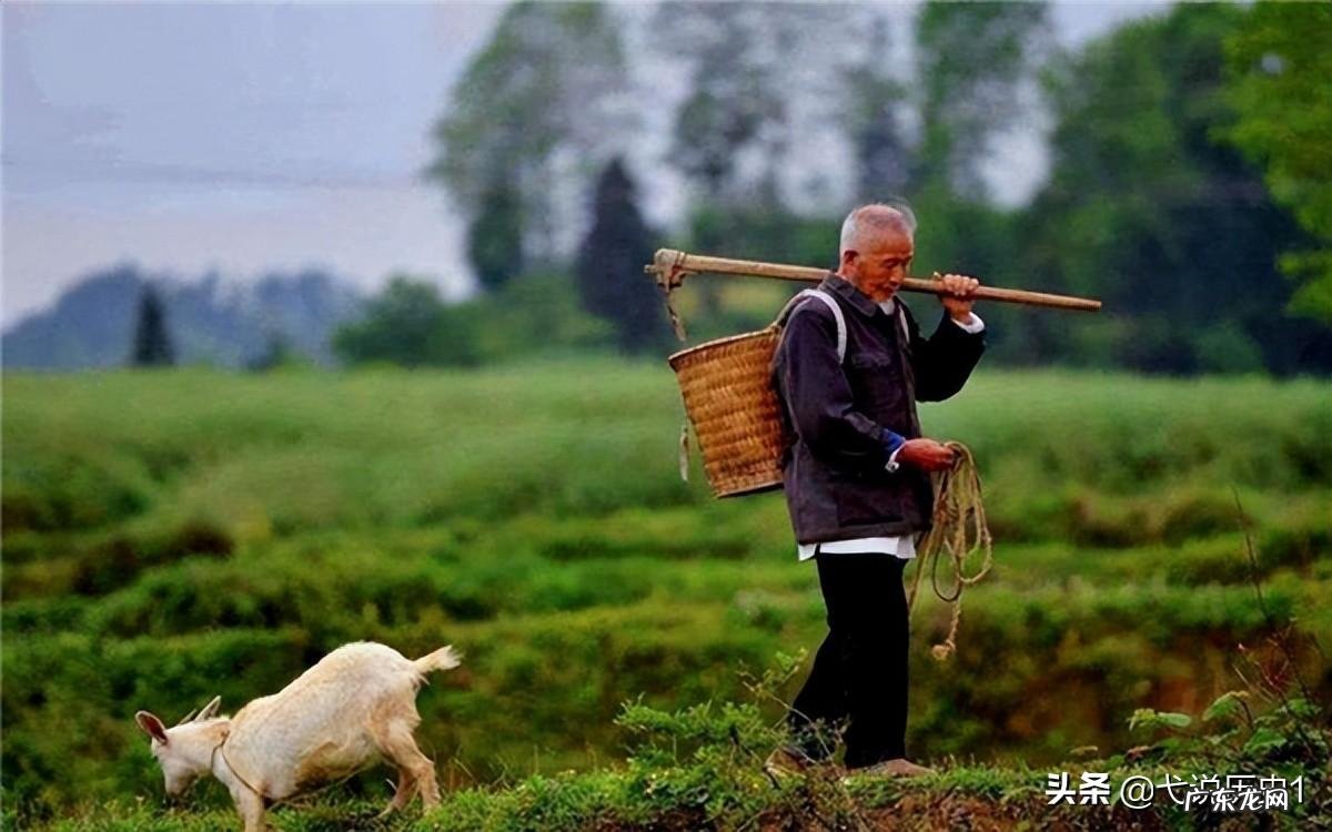 后面是山前面是河的风水 风水上有山有水