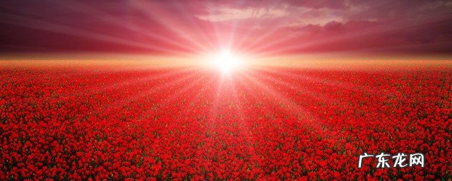 世界预防自杀日介绍