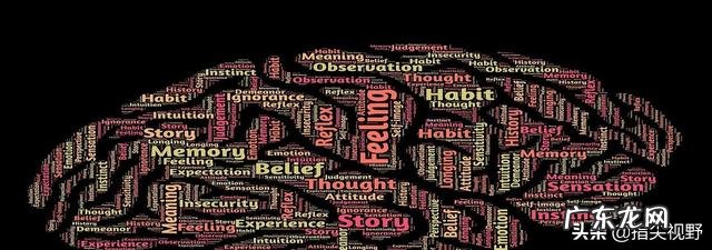 初入职场,知识焦虑怎么办?