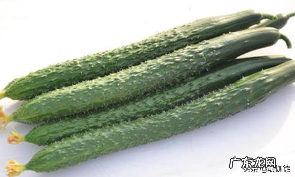 一餐只吃一种食物会瘦吗?