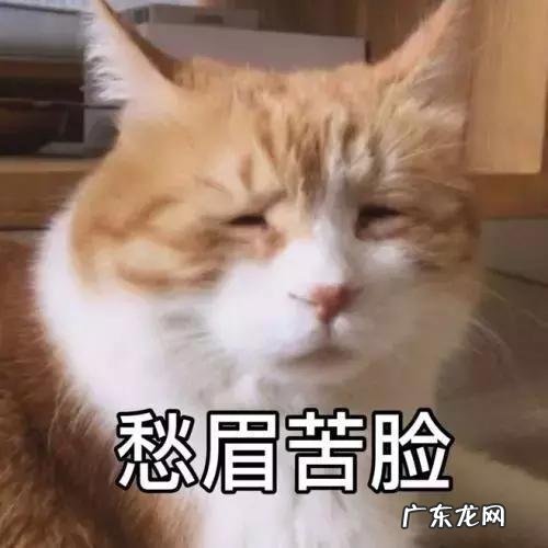 身体亚健康的表现有哪些？