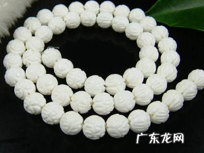 贝壳的种类多少 贝壳的种类有哪些