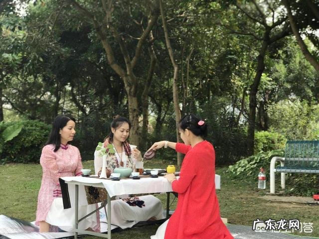 你知道哪些沏茶礼仪?