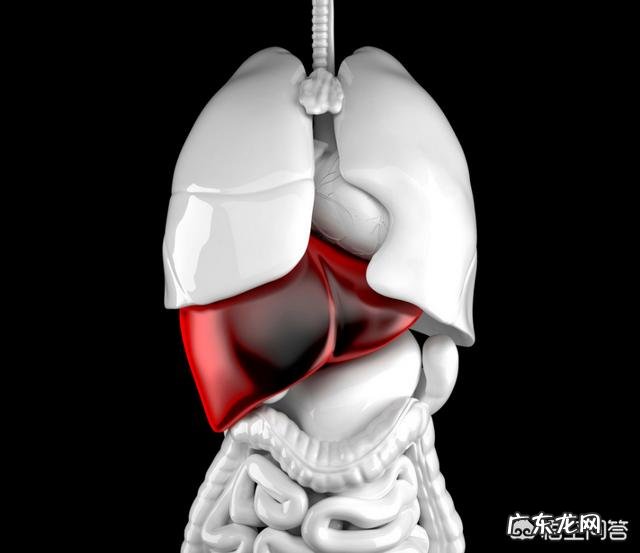 早起出现哪些症状,说明肝病加重了?