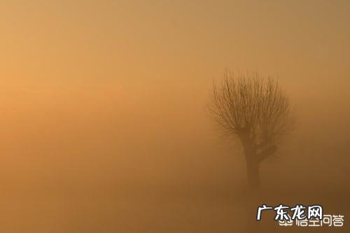 摄影作品要出彩,拍好一张好照片有哪些必须注意的事情?