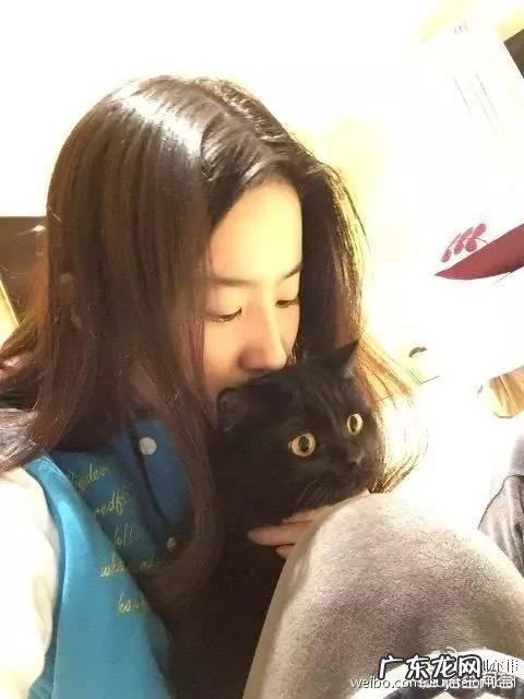 喜欢猫的明星有很多,你觉得哪个明星最喜欢猫?